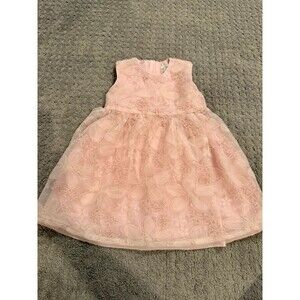 Laughing Llama Baby Girls Pink Mesh 3D Flower A-Line Party Dress 24 Month